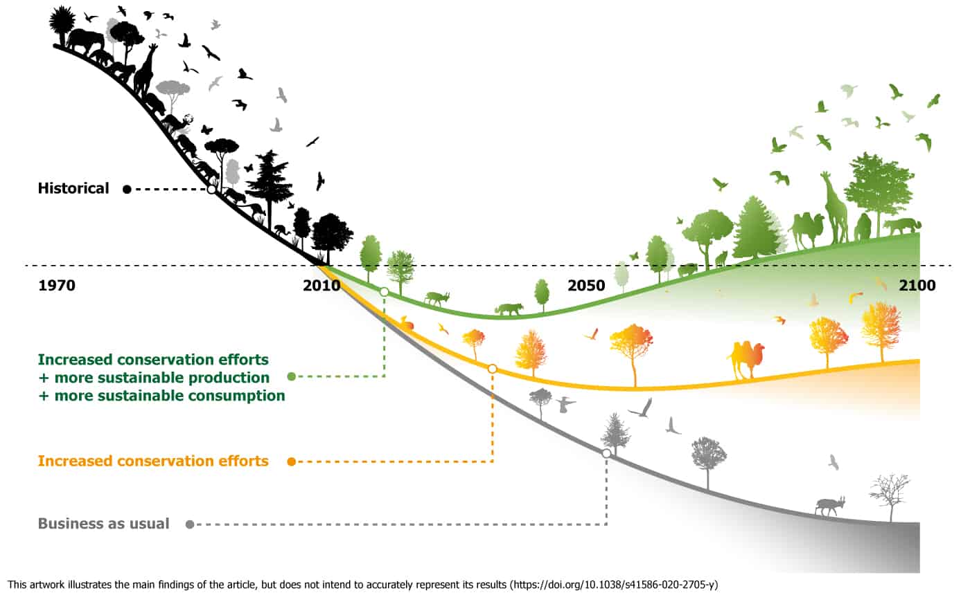 statistics:The next 30 years will prove pivotal for Earth’s biodiversity