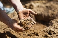 Hands-in-soil
