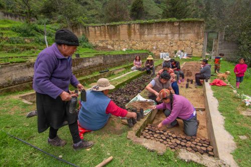 Community members in the Peruvian Andes working at a local tree nursery. 