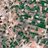 Satellite image of crops and fields