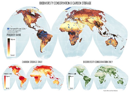 Biodiversity conservation & Carbon storage