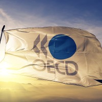 OECD flag