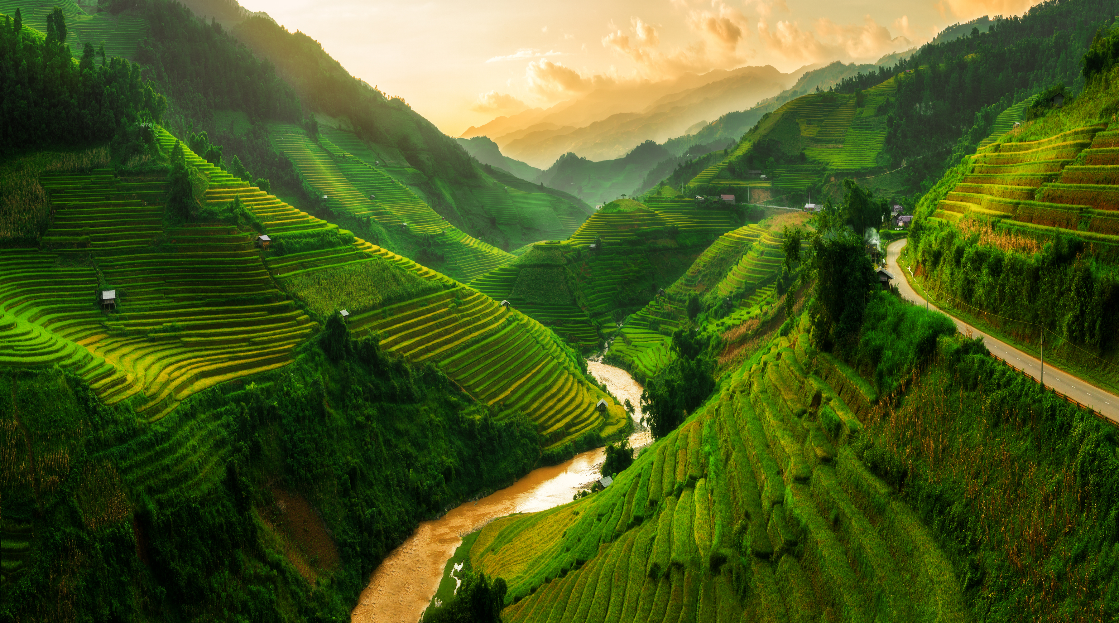 vietnam fields