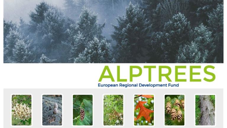 D.C.5.1_ALPTREES_Poster_1.jpg