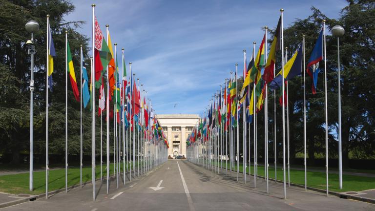 UN Flags