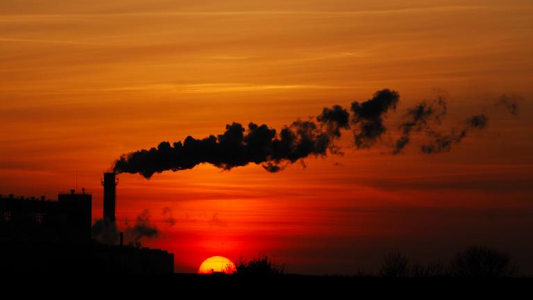 Polluting industry
