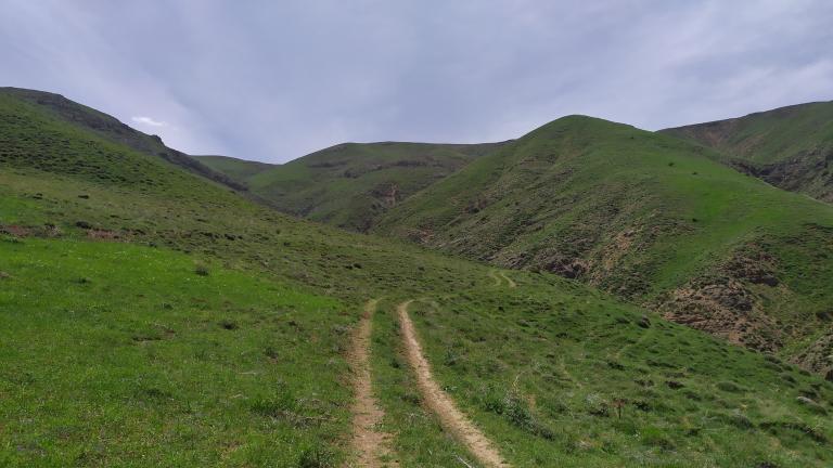 Path