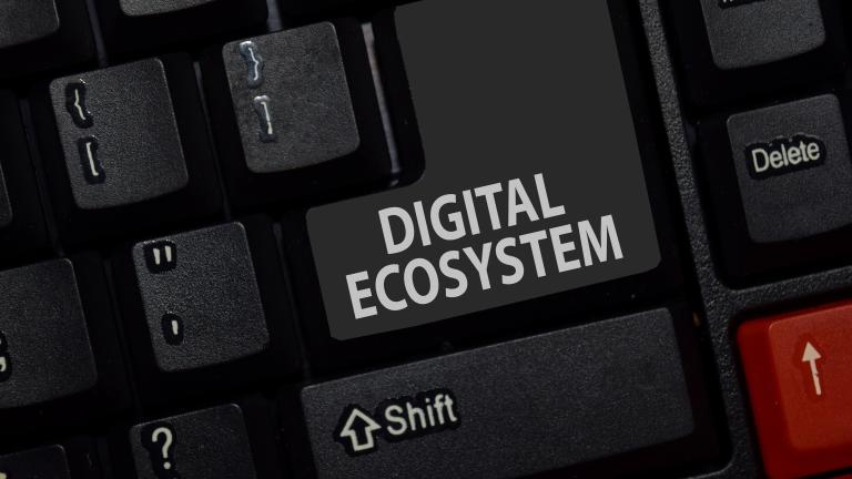 digital ecosystems