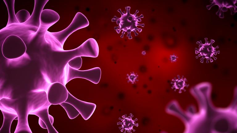 Corona Virus