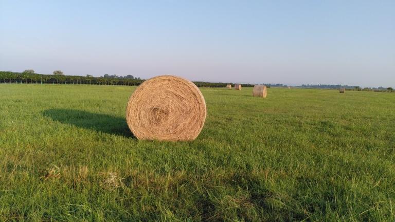 hay ball