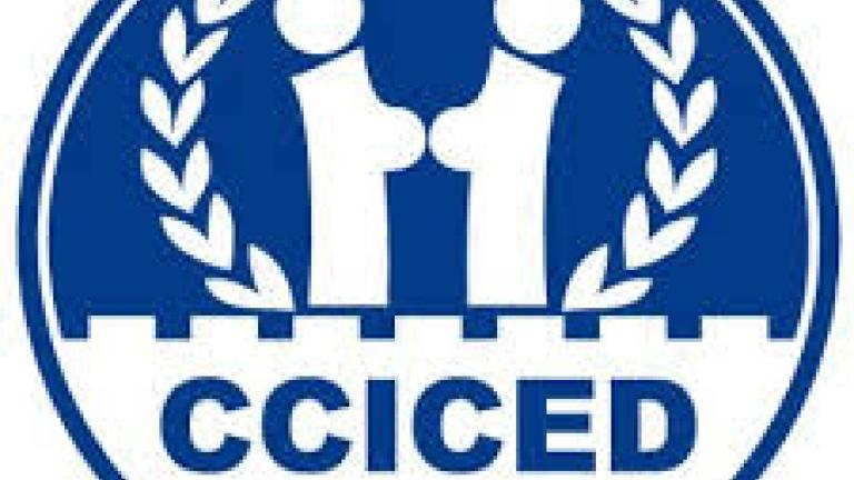 CCICED logo