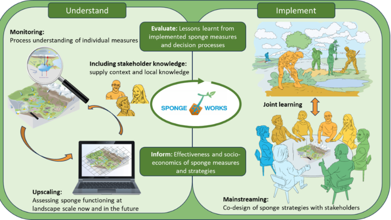 SpongeWorks Processes