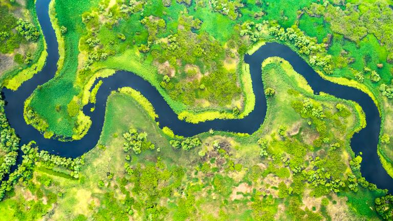 Aerial view of river meander in the lush green vegetation of the delta