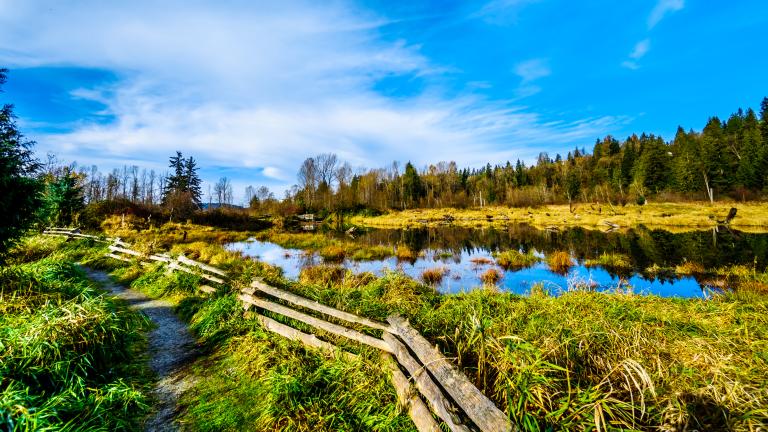 Balancing nature restoration and land use in Europe