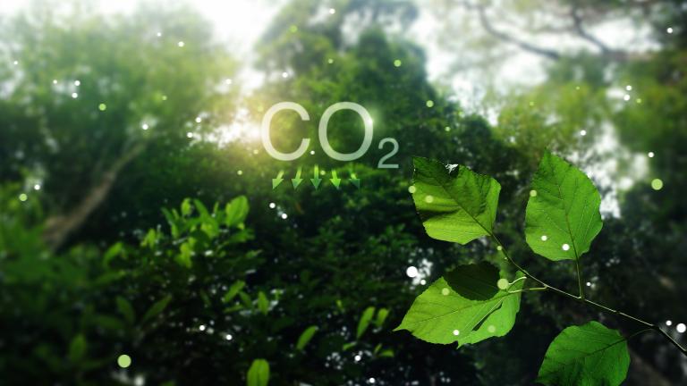 Advancing global climate action
