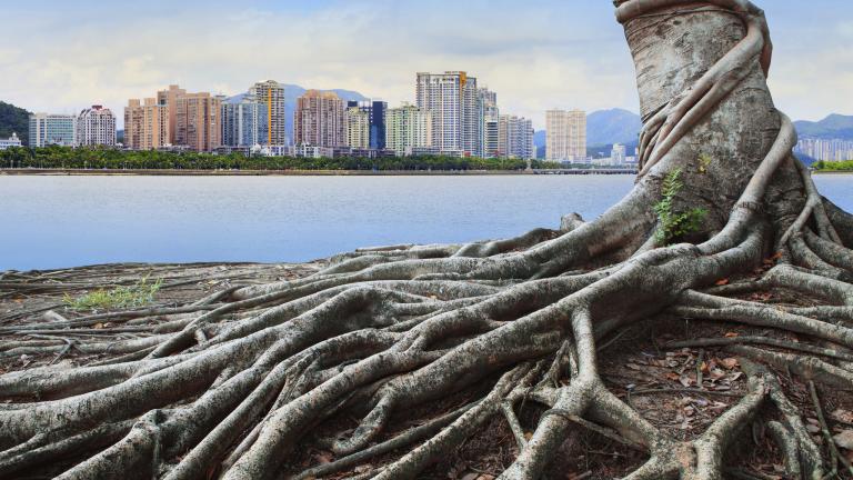 Smarter SDG priorities for greater impact in China