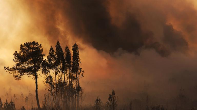 Expanding cooperation on disaster risk management