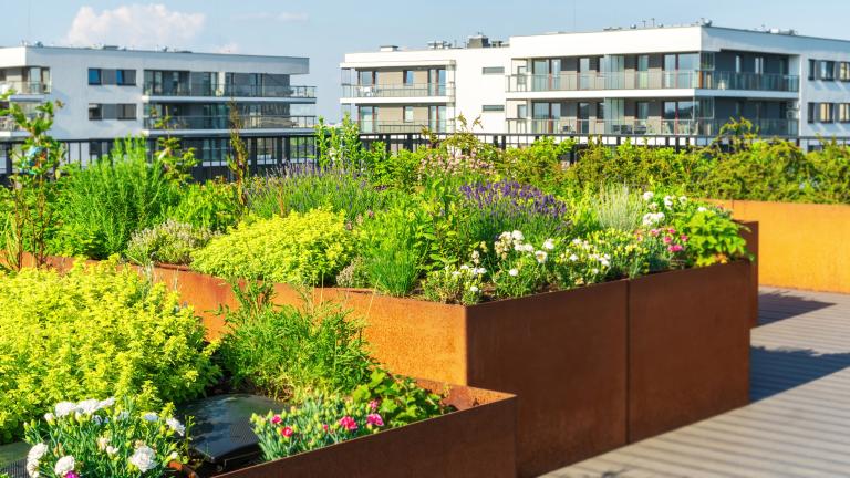 Governing and financing nature‑based solutions