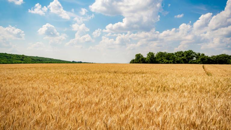 Aligning EU agricultural policy with climate and biodiversity goals