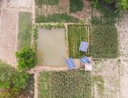 One of the solar irrigation pump sites in the Chakhaji village of Samastipur District in Bihar, India