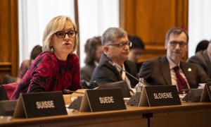 OECD-IIASA Strategic Partnership: Third Task Force meeting