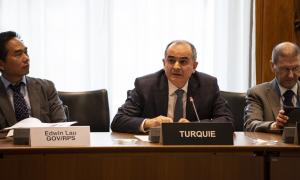 OECD-IIASA Strategic Partnership: Third Task Force meeting