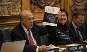 OECD-IIASA Strategic Partnership: Third Task Force meeting