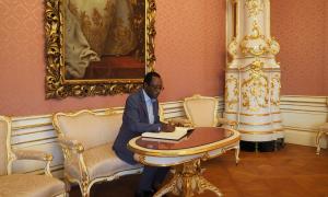 29.01 Tawana Kupe, Vice-Chancellor and Prinicipal of the University of Pretoria to visit IIASA