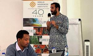 Dimitrios Mentis and Alemayehu Woldemanuel
