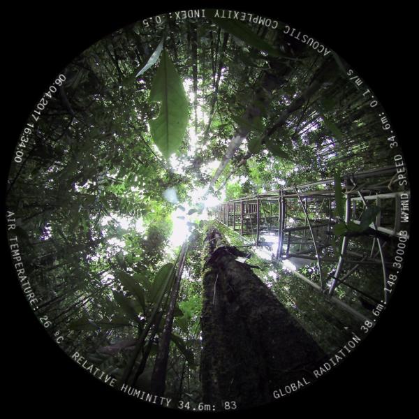 AmzFACEhemisphere