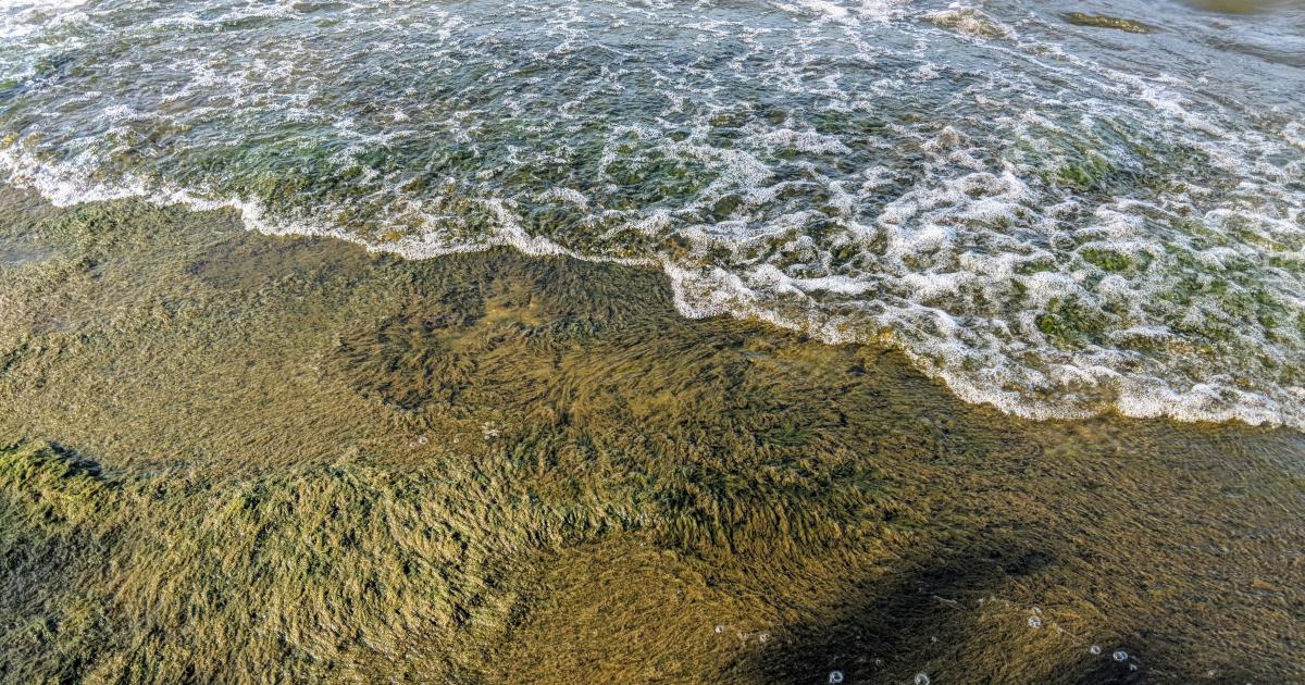 Protecting against phosphorus runoff in the Lake Erie watershed | IIASA
