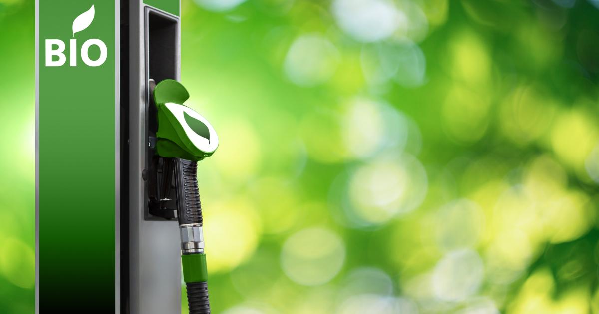 IIASA research informs EPA's regulations for sustainable biofuels | IIASA
