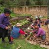 Community members in the Peruvian Andes working at a local tree nursery. 