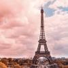 pinky paris