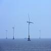 wind farm 