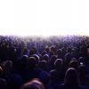 crowd