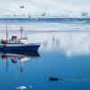 antarctic ship