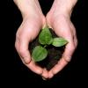 hands holding dirt