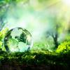 glass globe