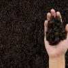 Farm soil