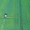 agriculture