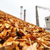 Biomass energy factory