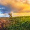 Weather changing