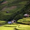 Beautiful rice terrace field on hill in Northern Vietnam