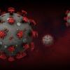 coronavirus particle