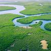 Amazon rainforest with river