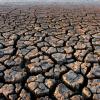 Cracked, parched land in drought