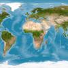 World map with texture on global satellite photo, Earth view from space. Detailed flat map of continents and oceans