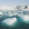 Arctic Ocean - ice in the sea