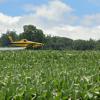 Crop Dusting